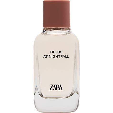 fields at nightfall zara fragrantica.